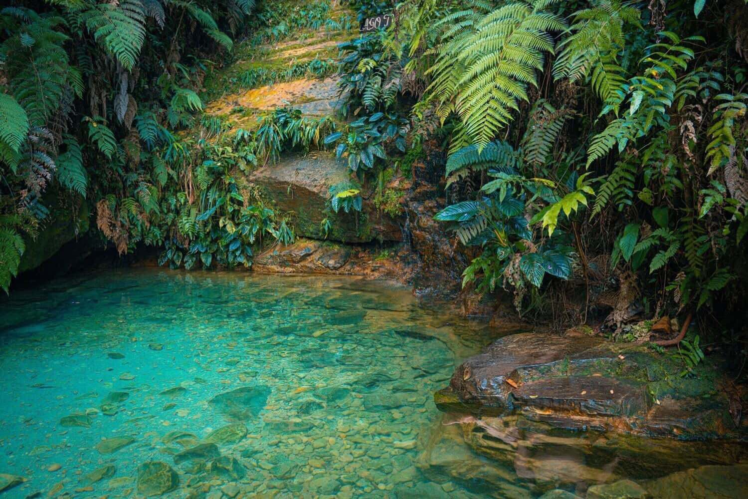 THE MARVELOUS WATERFALLS OF SAN MARTĆN