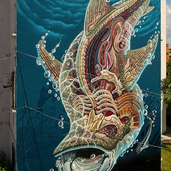 STREET ART WALKING TOUR